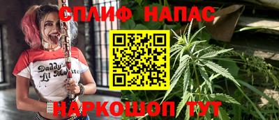 сатива Балахна