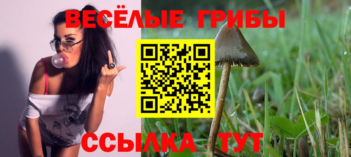 Галлюциногенные грибы мухоморы Дзержинск