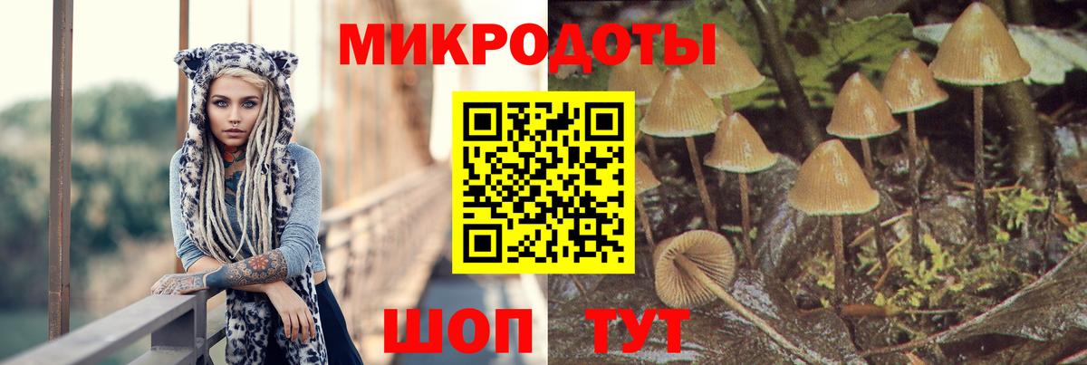 Дзержинск  Псилоцибиновые грибы MAGIC MUSHROOMS  Вход с VPN 